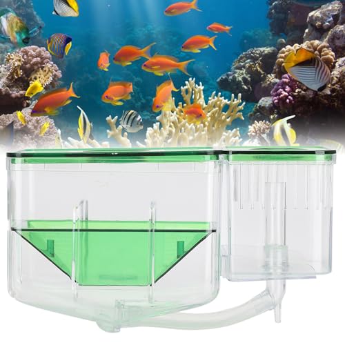 Aquarium Fish Breeding Box, Double - Layer Isolation Incubator for Small Fish Shrimp, Newborn Fry Spawning Nursery with Insert Tray for Betta Guppies Clownfish