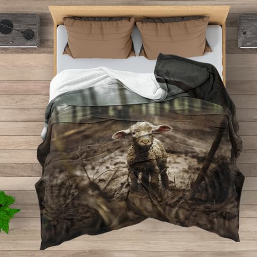 Jesus Christian Blanket Jesus and Lamb Throw Blankets Religious Throw Blanket Faith Catholic Inspirational Gifts for Women Men Warm Soft Plush Lightweight Fleece Flannel Blanket 40"X50" - color: A011 Jesus and Lamb Blankts, size: 40"W X50"L(102X127CM)