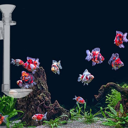 INOOMP Aquarium Feeding Tube with Feeding Ring Transparent Wall-Mounted Fish Feeder for Shrimp Tank Supplies Sinking Feed Dish Easy Setup 5.90 X 1.96 X 1.96 in