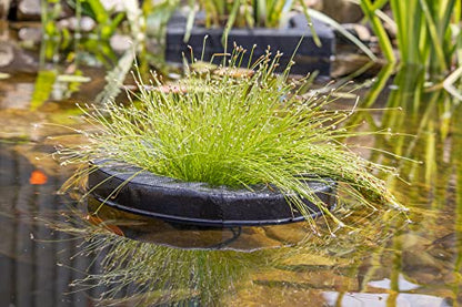 PondH2o Floating Aquatic Water Garden Pond Planter Basket, 10 Inch (26cm) Round Fabric Floatable Flower Plant Pot Aquaponics, Hydroponics, Flower Islands for Ponds and Water Features