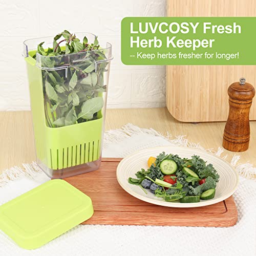 LUVCOSY Herb Keeper, BPA-Free Plastic Herb Saver with an Inner Basket for Cilantro, Mint, Parsley, and Asparagus, Keeps Fresh Herbs for 3 Times Longer,1Pcs, Green - color: Herb Keeper - Green