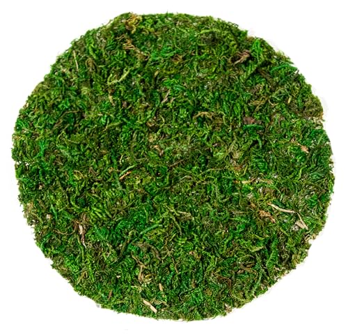 SuperMoss (26295) Moss Soil Toppers, Fresh Green, 4 (3 Units) - color: Fresh Green, size: 4" (3 units)
