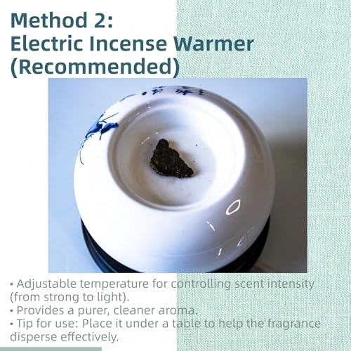 Chinese Natura Hainan Agarwood （Oud） - Boasts a Distinctly Unique Aroma, Ideal for Home Incense, Meditation & More (10g Pack - High Grade - Hainan Agarwood) - color: 10g Pack - High Grade - Hainan Agarwood