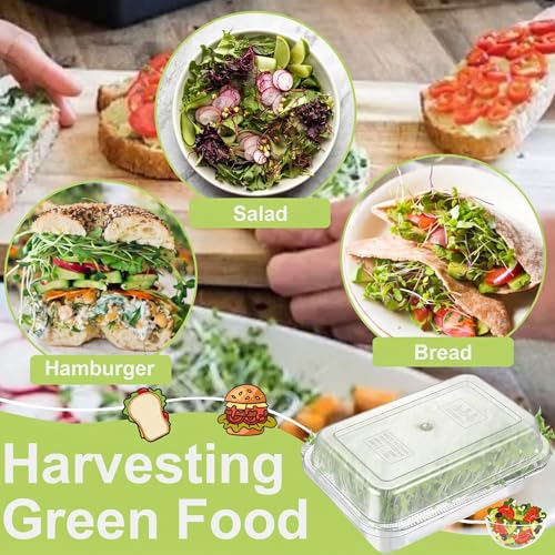 Microgreens Growing Kit with Lids 2-Tier 10.4 Inch Trays | Stainless Steel Seed Sprouter with 0.3mm Encrypted Silicone Mesh, Beans Broccoli Alfalfa and Wheatgrass Sprouts Growing Kit - size: 10.4"L × 7.67"W Tray with Lid