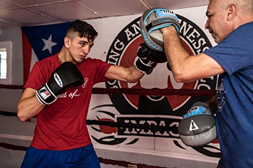 Fighting Sports Fury Professional Training Gloves - Boxing Gloves Boxing, Training Gloves, MMA Gloves, Oz Training Gloves, Kickboxing Gloves, Punching Bag Gloves, Sparring Gloves - color: Black, size: 16 oz