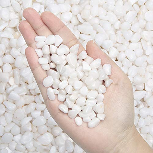 Natural Polished Decorative White Pebbles - 2 LB Small Stones 3/8" Gravel Size,River Rocks Pebbles for Plants, Home DIY Decor,Aquarium Gravel,Vase Fillers,Fairy Garden,Landscaping Outdoor Stones - color: White, size: 2 LB