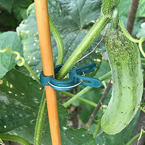 40 PCS Plant Clips Garden Clips for Tomato Cage, Tomatoes Clips Plant Support Clips for Bamboo Stakes, Climbing Plants, Vines, Gentle Plant & Flower Trellis Clips for Plant Stalks, Stems