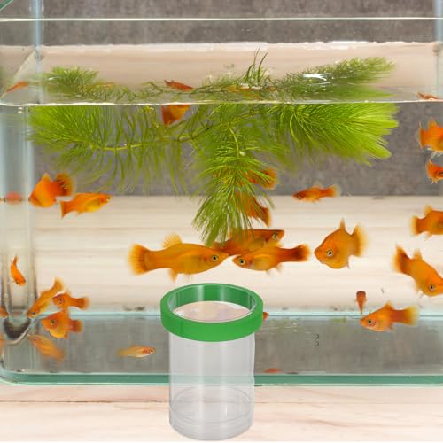 Kisangel Floating Fish Breeding Box and Egg Incubator for Aquarium, Small Green Isolation Chamber for Guppy Fry Hatching, Floating Breeding Chamber Suitable for Fish Tank Nursery