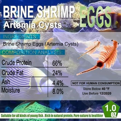 Bubble Magus Brine Shrimp Eggs/sea Monkey Eggs/Live Fish Food/Fairy Shrimp Egg Artemia high Protein Fish Food for brine Shrimp Hatchery 、 Clownfish Food 、 Reef roids Coral Food 、Feeder Guppies、beta - size: 1 Ounce (Pack of 1)