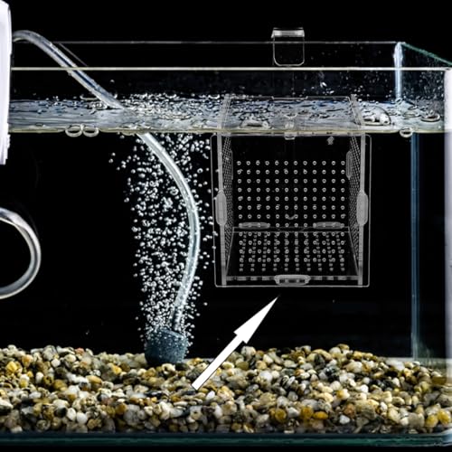 BESPORTBLE 1set Acrylic Fish Isolation Box for Aquariums with Cups and Breeding Box for Newborn Fish Transparent Cover Prevents Escape and Design