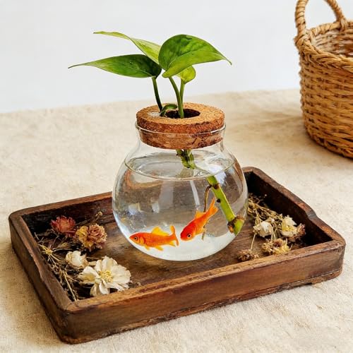 Small Fish Bowl, Cute Betta Tank, High Clear Fish Glass Bowl, Desktop Mini Aquarium Vases for Betta Fish and Hydroponic Plants, Plants Propagation Station, Home Office Table Decorations