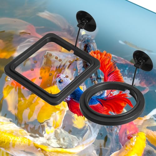 2 PCS Fish Feeding Ring, Aquarium Feeding Ring Floating Fish Feeder Rings with Strong Suction Cup for Guppy, Betta, Goldfish and Other Small Fishes (Square and Round Shape)