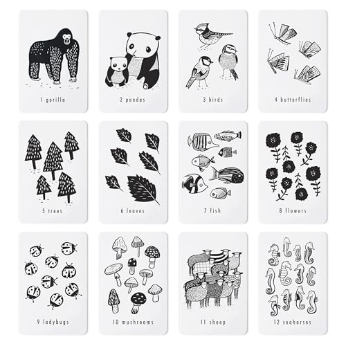 Wee Gallery Number Cards, Nature Counting Flash Cards for Toddlers - color: Nature