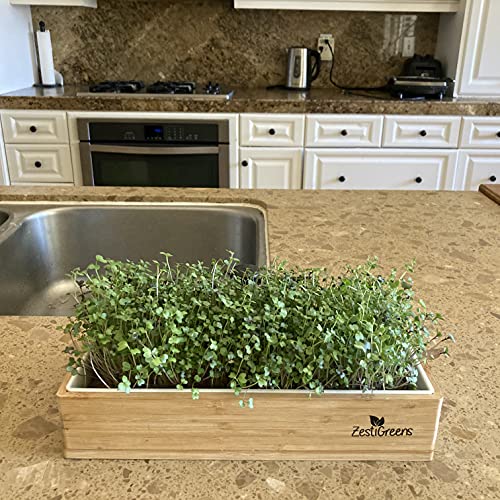 Microgreens Kit Refills - 9 Mats and 9 Different USA Seed Packs | Refill set with 9 plant mats and 9 seed packs for the ZestiGreens microgreens growing kit - color: Sampler Microgreens Refill