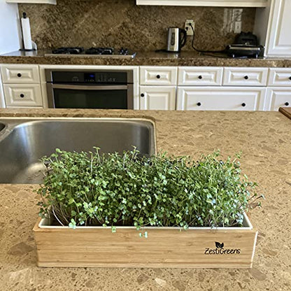 Microgreens Kit Refills - 9 Mats and 9 Different USA Seed Packs | Refill set with 9 plant mats and 9 seed packs for the ZestiGreens microgreens growing kit - color: Sampler Microgreens Refill