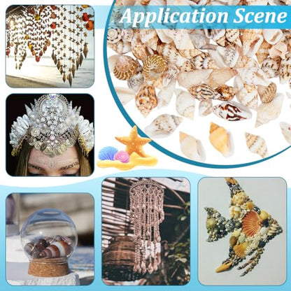 PH PandaHall 1400-1500pcs Tiny Sea Shells 7-12mm Tiny Crushed Shells Miniature Shell NO Hole Seashells Ocean Spiral Seashells for Resin Crafting Candle Home Party Wedding Fish Tank Vase Filler - color: 1400pcs, size: Length 7-12mm