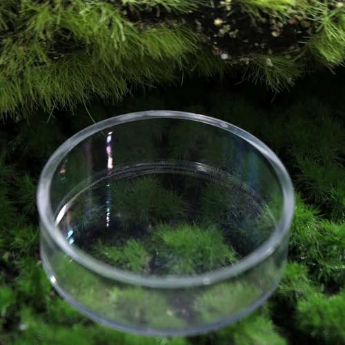 Shrimp Food Box, Round/Square Practical Fish Feeding Bowl, Acrylic Transparent Aquarium Accessories Fish Feeding Dish Shrimp Food Feeding Circle(E) - style: E