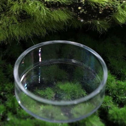 Shrimp Food Box, Round/Square Practical Fish Feeding Bowl, Acrylic Transparent Aquarium Accessories Fish Feeding Dish Shrimp Food Feeding Circle(B) - style: B
