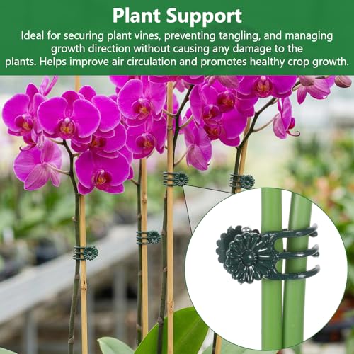 50pcs Plant Clips Orchid Clips Plant Orchid Support Clip Garden Clip for Climbing Flower and Vine Helps Growth for Indoor Outdoor Flowers Rose Amaryllis Grape and Vine Vegetables Dark Green