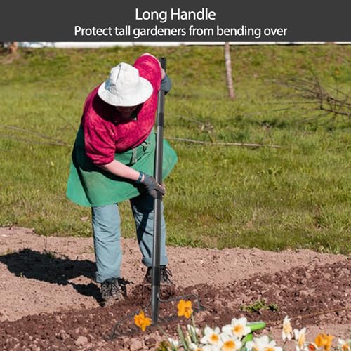 Bow Rake, Detachable Heavy Duty Metal Garden Rake for Loosening Soil, Leveling Lawn, Leaves Cleaning,63 Inch Long Handle Yard Rock Rake for Gardening,17 Prongs Leaf RakeThatch Rake for Lawn