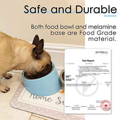 SUPERDESIGN Anti-Vomiting 15° Slanted Pet Bowl, S/0.5 Cup, Blue | 15° Tilted, Anti-Vomit & Neck Relief, Non-Slip Base, Detachable Stainless Steel Liner, Dishwasher Safe, for Cats & Dogs - color: Blue, size: S/0.5 Cup