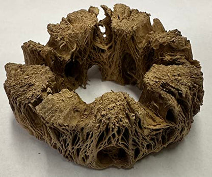 3 Natural Cholla Wood Air Plant Display Holders Individually Unique Round Decorative Stands (3 Pack Cholla Rounds) - style: 3 Pack Cholla Rounds