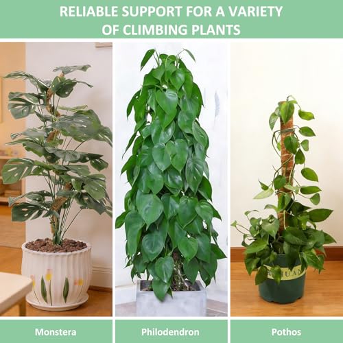 Numola 2 Pack Moss Pole Monstera Plant Support Stakes for Indoor Plants, 28 Inch Bendable Coir Trellis Plant Stick Support for Potted Climbers to Grow Upwards, Vines Traction Clips with Repotting Mat