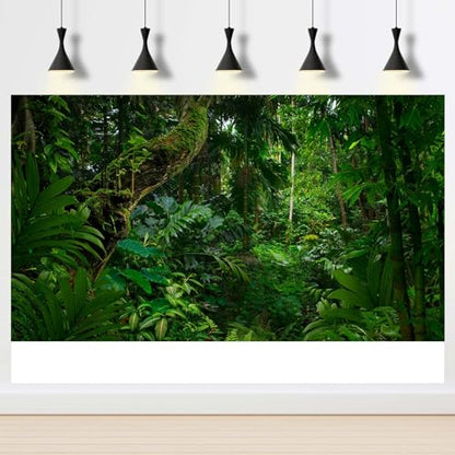 3 Pack Reptile Habitat Background Sunset Desert Terrarium Background Jungle Forest Terrarium Background Gobi Sunshine Cactus Stone Tank Terrarium Background Rainforest Reptile Background 36x18in