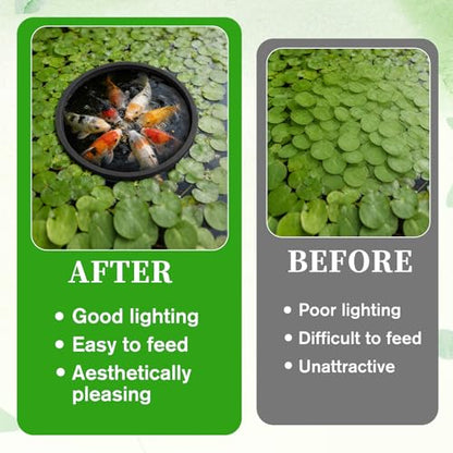 10 Pcs Fish Feeding Ring, 5 Sizes Aquarium Floating Plant Barrier, Round Floating Rings EVA Feeder Rings Float Plant Corral Fish Tank Accessories for Goldfish, Betta