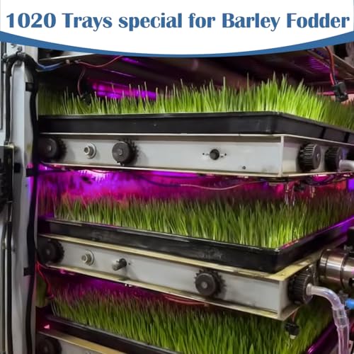 50-Pack Heavy-Duty 1020 Seed Trays No Holes, Thick Plastic Plant Flats | Reusable Growing Trays for Seed Starting, Propagation, Microgreens, Transplanting & Bottom Watering (21" x 11", 2.76" Deep) - color: Black, size: 50p 1020 Trays No Holes