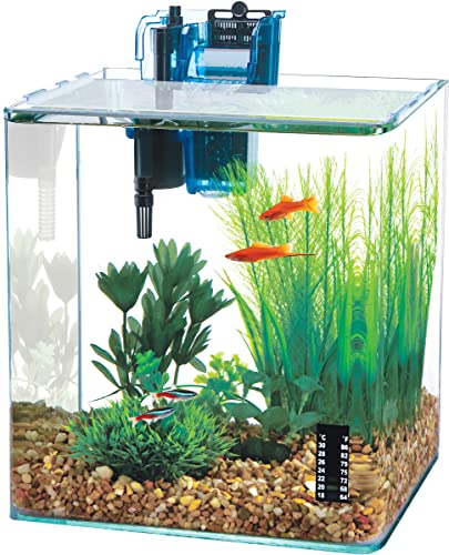 Penn-Plax Water-World Vertex Desktop Aquarium Kit - Perfect for Shrimp & Small Fish - 10 Gallon Tank - size: 10 Gallon