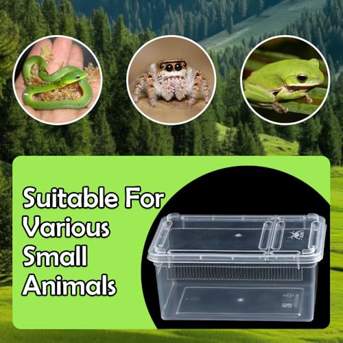 5 Pack Small Reptile Terrarium Breeding Box Transparent Hatching Container Plastic Feeding Box for Gecko Frog Spider Scorpion Centipede Insect