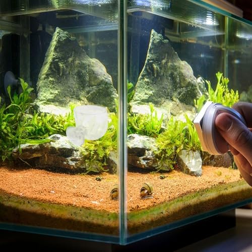 NUOBESTY 2pcs Aquarium Feeder Cup Fish Food Container Worm Holder Acrylic Fish Tank Feeding Device with Suction Cup for Freshwater and Saltwater