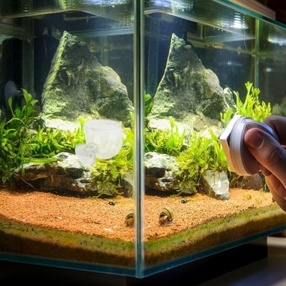 NUOBESTY 2pcs Aquarium Feeder Cup Fish Food Container Worm Holder Acrylic Fish Tank Feeding Device with Suction Cup for Freshwater and Saltwater
