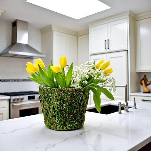 SuperMoss (55202) Carmel, Fresh Green, 6" Drop-in - size: 6" Drop-in