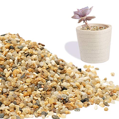 Coarse Sand Stone - Succulents and Cactus Bonsai DIY Projects Rocks, Decorative Gravel for Plants and Vases Fillers，Terrarium, Fairy Gardening, Natural Stone Top Dressing for Potted Plants. - size: 2 LB
