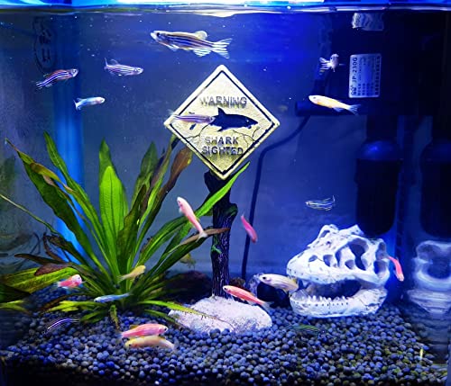 AWXZOM Desert Reptile Decor Skull Fish Tank Decorations Bearded Dragon Accessories Desert Reptile Decor Bearded Dragon Decor, Snake Tank Decor (Cattle+ Dinosaur)