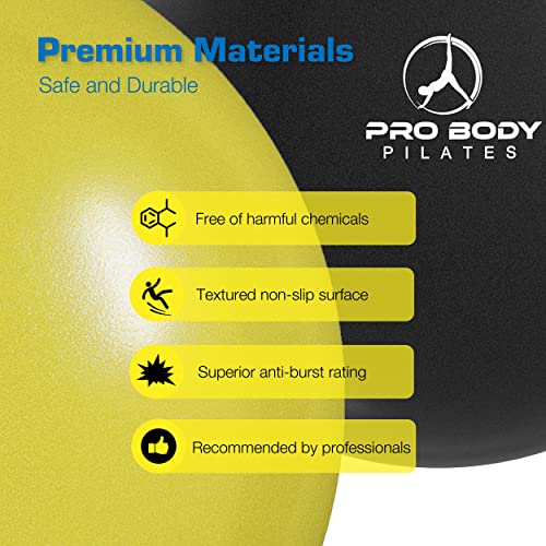 ProBody Pilates 볼 펌프 포함 소형 운동 공, 22.9cm(9인치) 바레 볼, 미니 소프트 요가 볼, 안정성을 위한 운동 공, 바, 피트니스, 복근, 코어, 물리 치료 및 물리 치료 공, 가정 체육관 및 사무실 - color: 옐로우