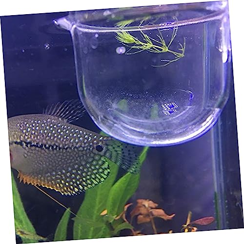 2Pc Clear Glass Feeding Cups for Fish for Red and Brine Shrimp Aquarium Equipment for Aquatic Supplies Enhance Fish Feeding Experience