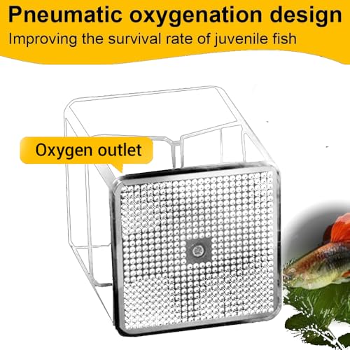 Breeder Box for Fish Tank,Isolation Breeding Box with Layered Design,Floating Fish Breeder Box for Aquarium,Adsorption and Suspension,Blue