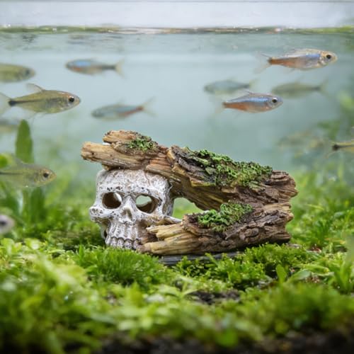 Skull Fish Tank Decor, Resin Aquarium Cave with Realistic Tree Trunk, Hollow Hideout for Betta Fish, Shrimp and Small Fish, Gothic Aquarium Ornament, 5.7 in