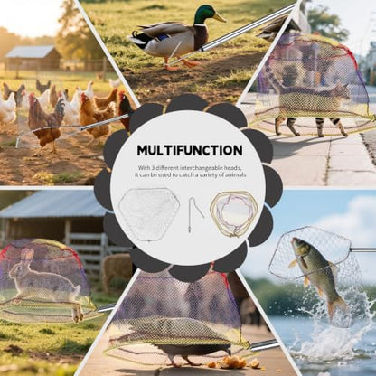 Chicken Net Catcher 3 in 1 Kit with 2 Foldable Nets & Leg Hook Replaceable | Adjustable from 32" to 76" with Thickened Pole丨Humanely Captures for Chicken,Fish,Poultry,Cats,Birds and Animals