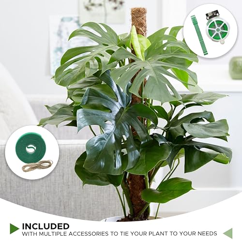 EcoNour 26.5" (2 Pack -16") Stackable Moss Pole for Monstera Plant Support | Moss Pole Sticks for Indoor Plants | Bamboo Plant Stakes,Climbing,Potted,Pothos| Philodendron & Creepers with Tie Accessory - size: 16 Inches - (2 PCS)