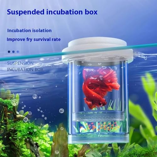 Floating Fish Breeding Box Net Design Safe Fish Habitat Isolation Tanks for Fry Shrimp Easy Setups Compacts - color: Blue, size: L