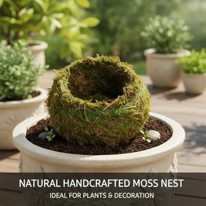 Kokedama Creative Moss Ball Planter 8cm Bowl Planter for Orchids, Bonsai & Air Plants Decorative Indoor Home Garden Decor