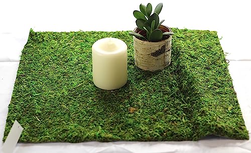 Preserved Moss Runner and Mats (18in x 16in mat) - color: 18in X 16in Mat