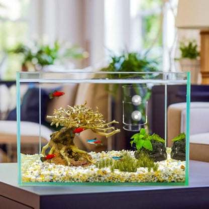 HEMOTON Fish Feeding Cup with Suction Cups Aquarium Feeding Ring Fish Food Holder Tube Round Sinking Feeder Tool Suitable for Aquarium Supplies