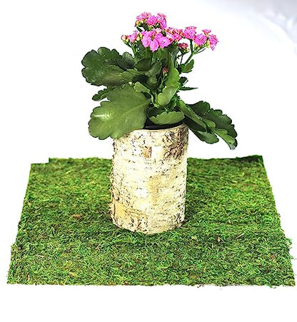 Preserved Moss Runner and Mats (18in x 16in mat) - color: 18in X 16in Mat