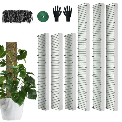 60"/40"/24" Metal Moss Pole, D Shape Sphagnum Moss Pole, Moss Poles for Climbing Plants, Monstera, Indoor Climbing Plants (3 Each of 40" 24") - style: 3 Each of 40" 24"