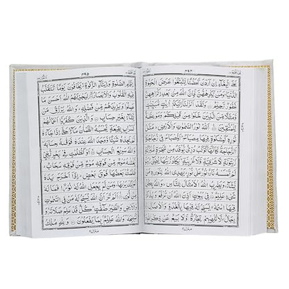 Al Quran Ul karim 13 Line Hafizi Holy koran Arabic Text With Beautiful Design Velvet Cover box - Taj Company Qura'n (Silver)